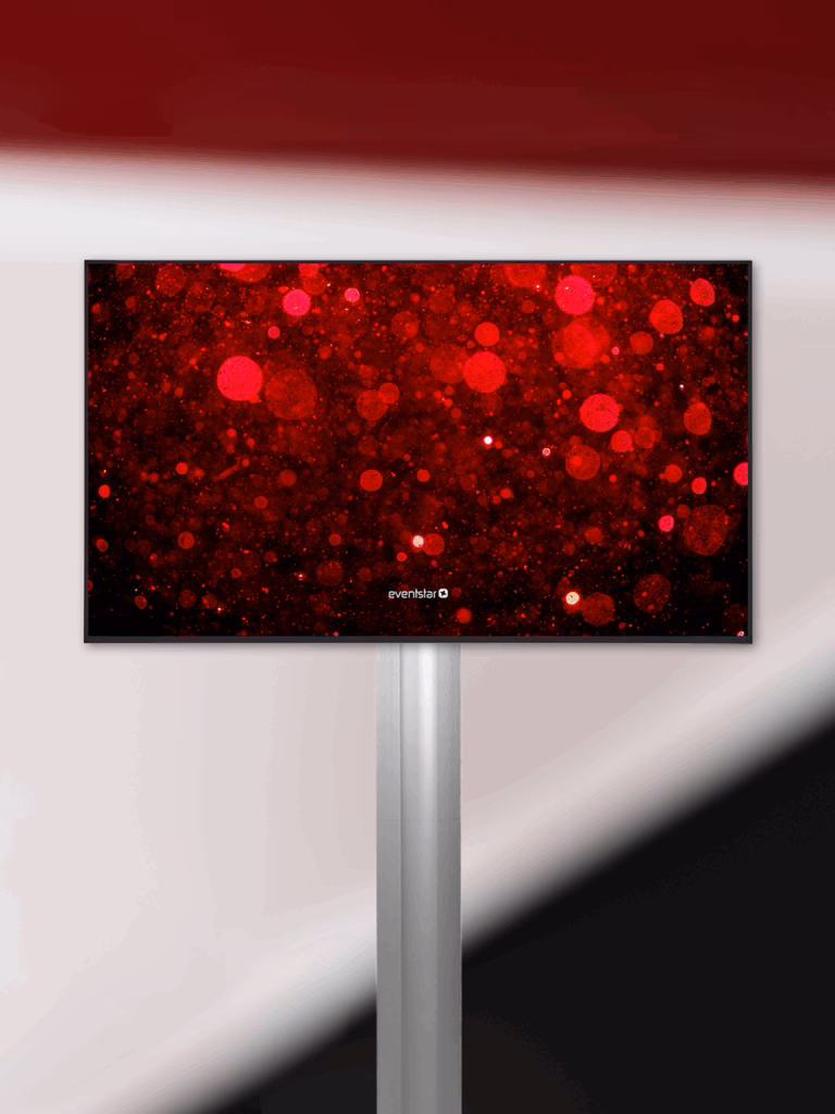 LG Displays 65 Zoll