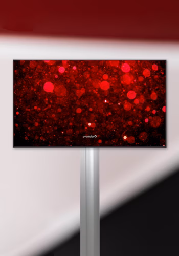 65 Zoll Display